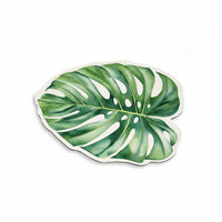 Feuille de Philodendron